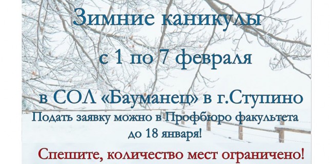 Stupino_fevral2016_mini